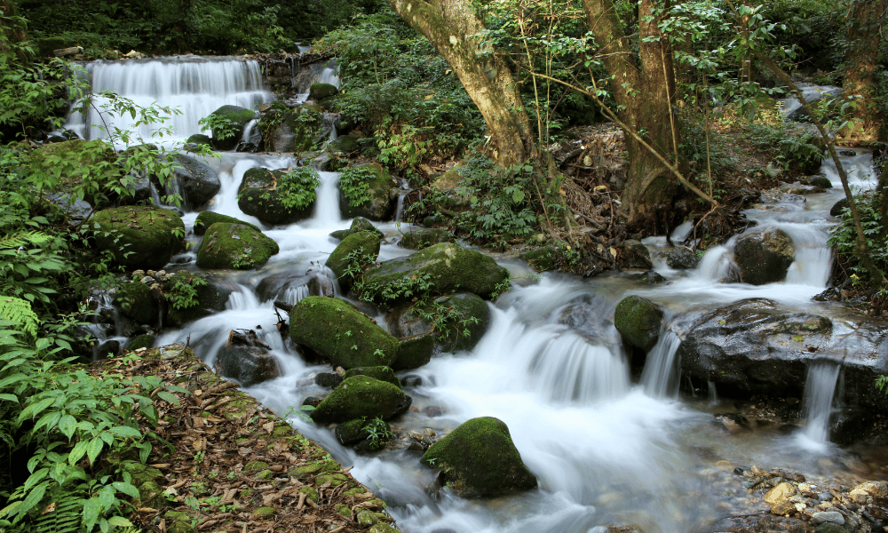 Shivapuri National Park Image