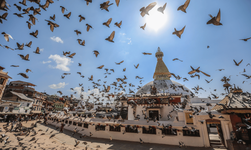 nepal-tour-packages-from-ahmedabad