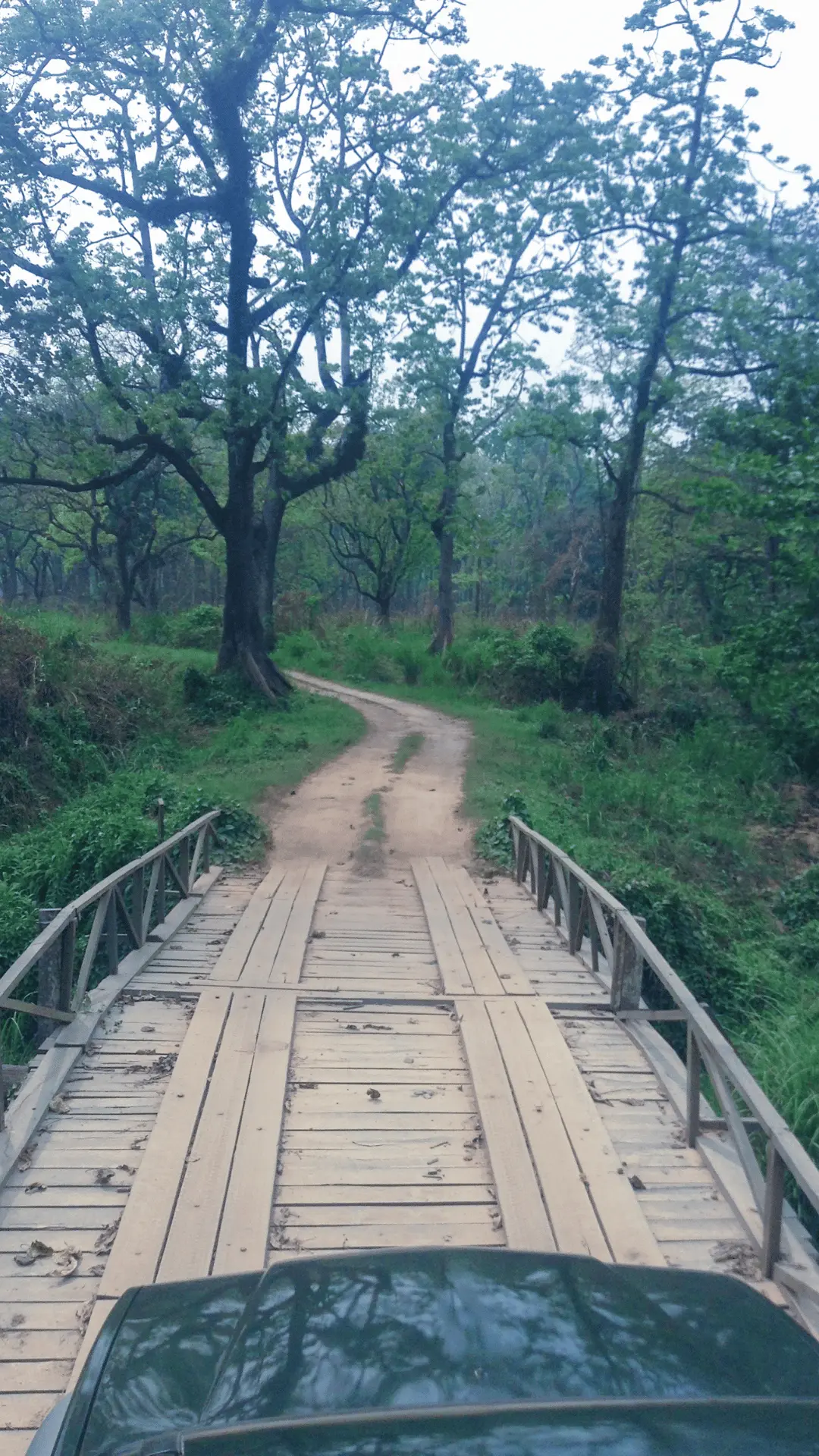 Chitwan Photos