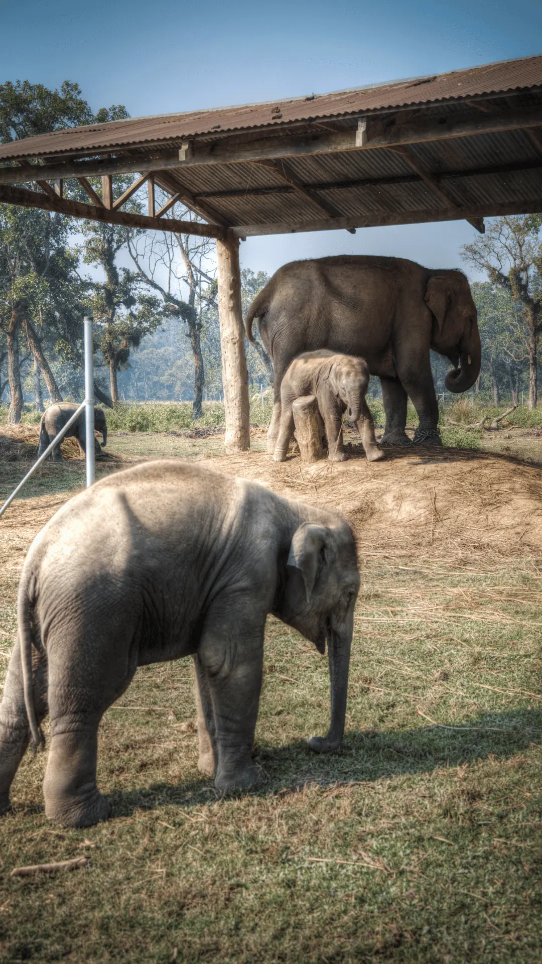 Chitwan Photos