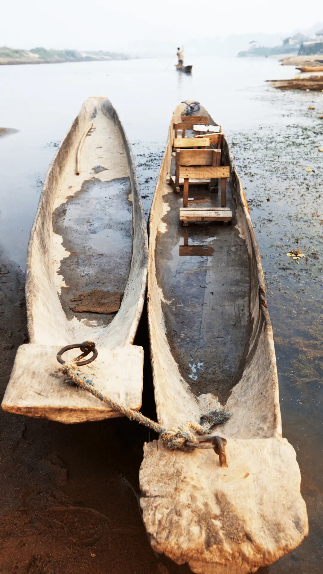Chitwan Photos