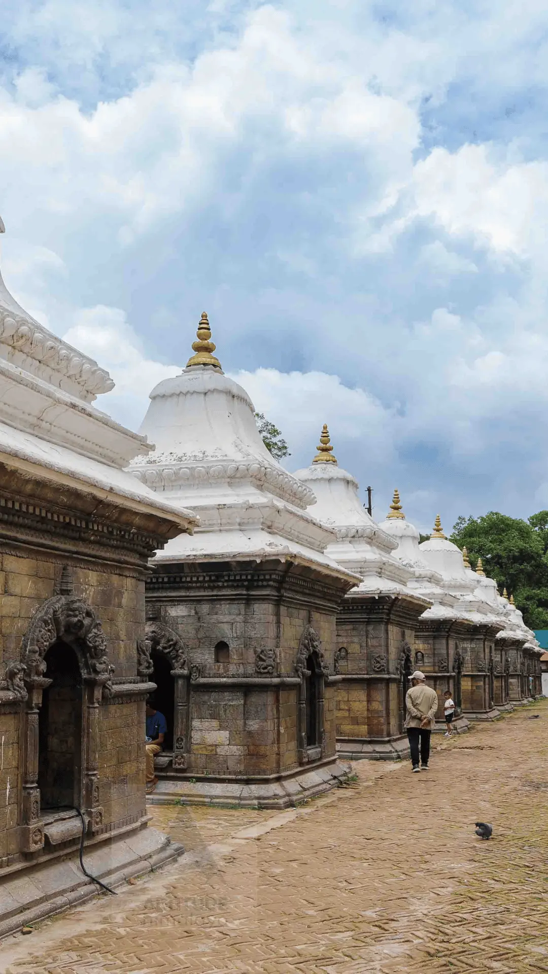 Pashupatinath Temple Photos
